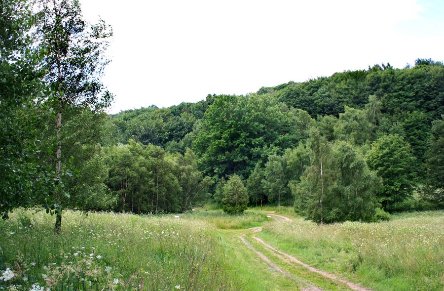 Ландшафт у Pyšná, часть общины Vysoká Pec, Чехия