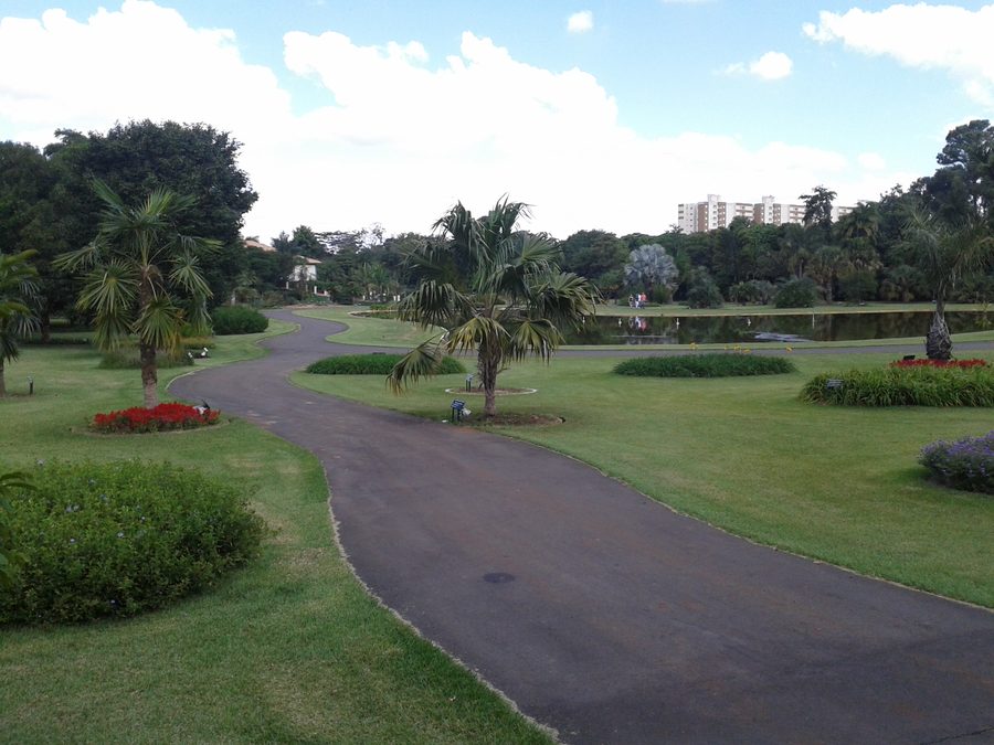 Вид на Jardim Botânico do Instituto Plantarum в Новой Одессе