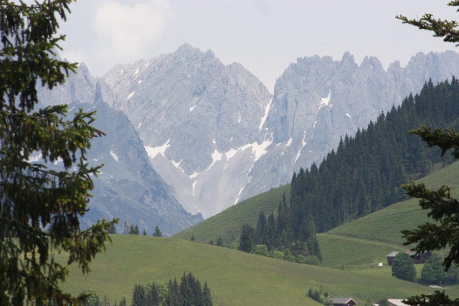 Вид с альпийского пастбища Silleralm на горный массив Вильдер-Кайзер в Тироле.