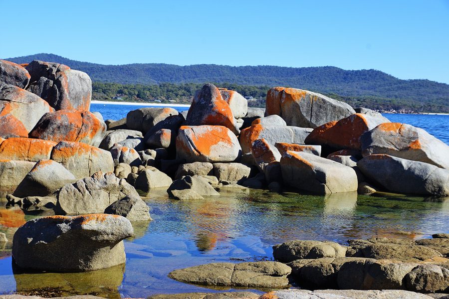 Скалы, покрытые лишайником, на побережье Bay of Fires в Тасмании.