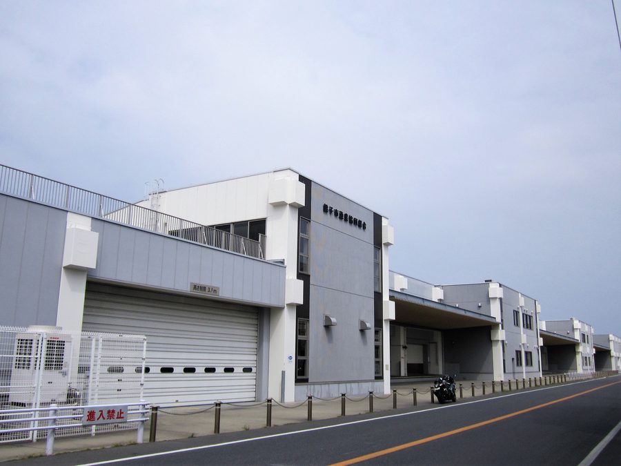 Первый рыбный оптовый рынок порта Тёси