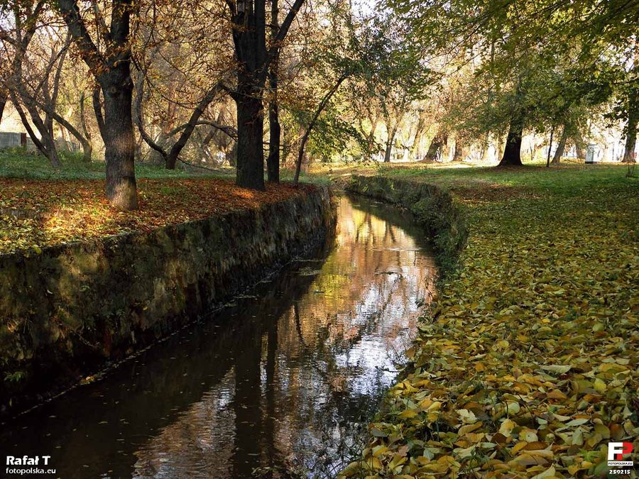 Река Млечна в Old Garden в Радоме, Польша