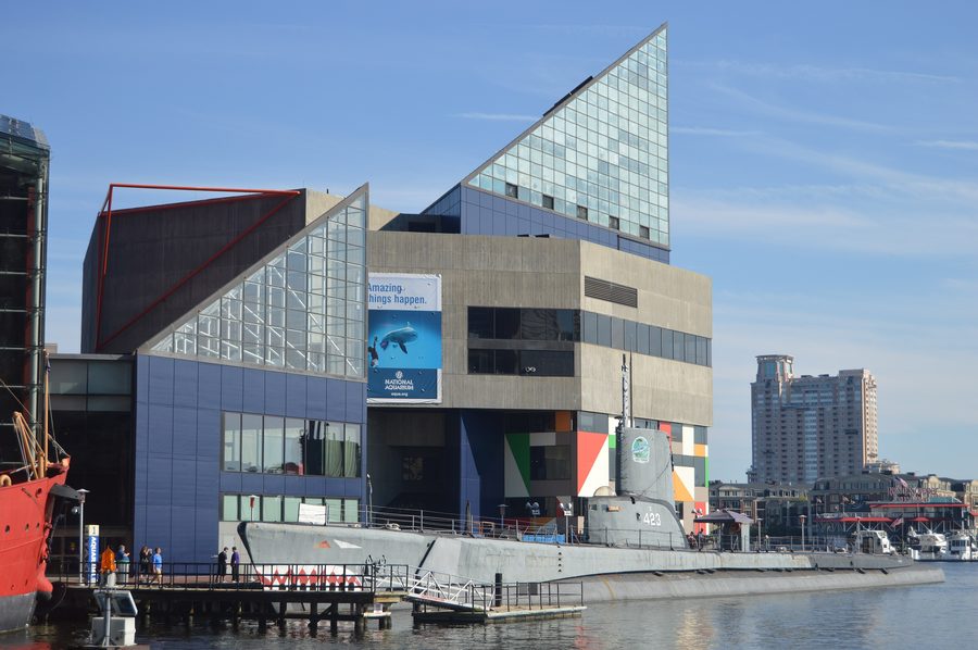 National Aquarium в Балтиморе у Inner Harbor