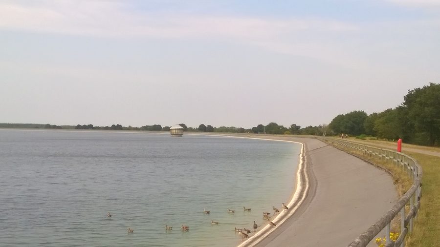 Водохранилище Гесте с водной поверхностью и нильскими гусями на переднем плане