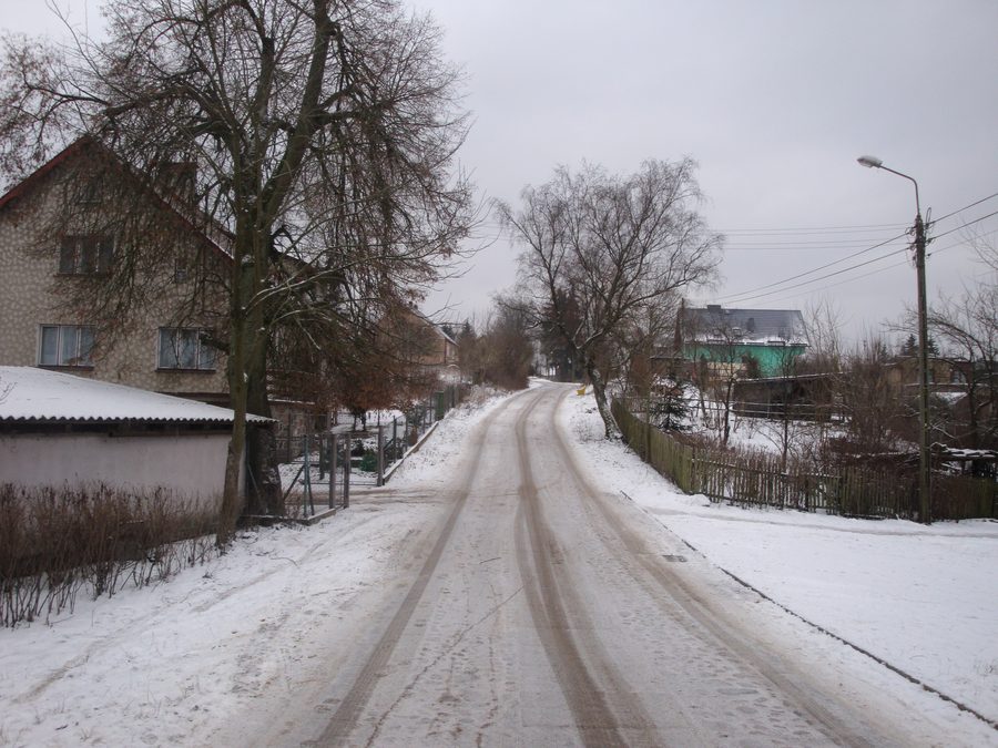 Вид деревни Сыцова-Хута возле Косьцежины, Польша