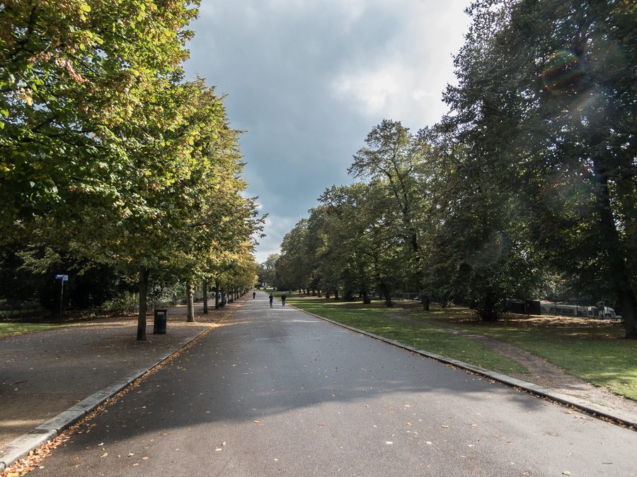 Аллея деревьев в Victoria Park в Хакни, Лондон