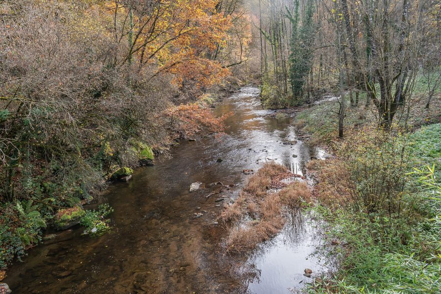 Река Viaur в Moulin d'Ayres, между Centrès и Sainte-Juliette-sur-Viaur, Аверон, Франция
