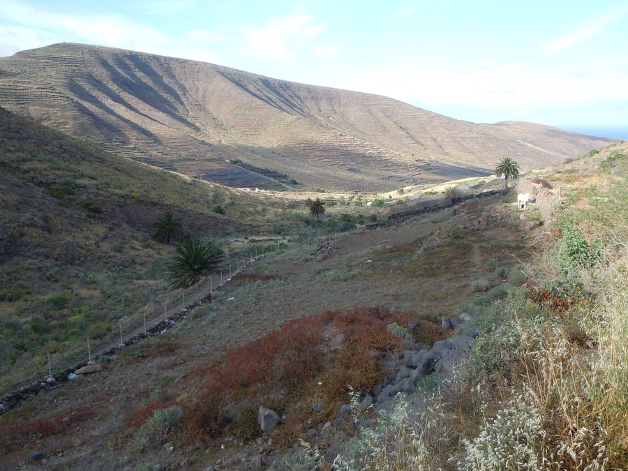 Вид на ландшафт Valle de Temisa у Haría на Лансароте