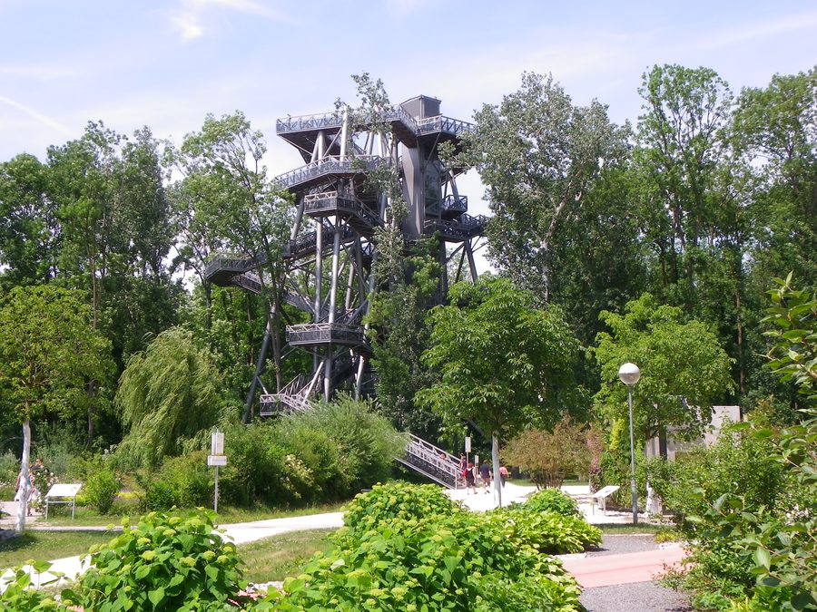 Прогулка по верхушкам деревьев в Die Garten Tulln