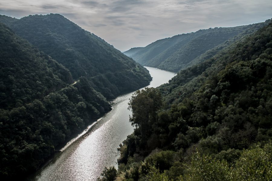 Тропа через ландшафт природного парка Sierra de Hornachuelos