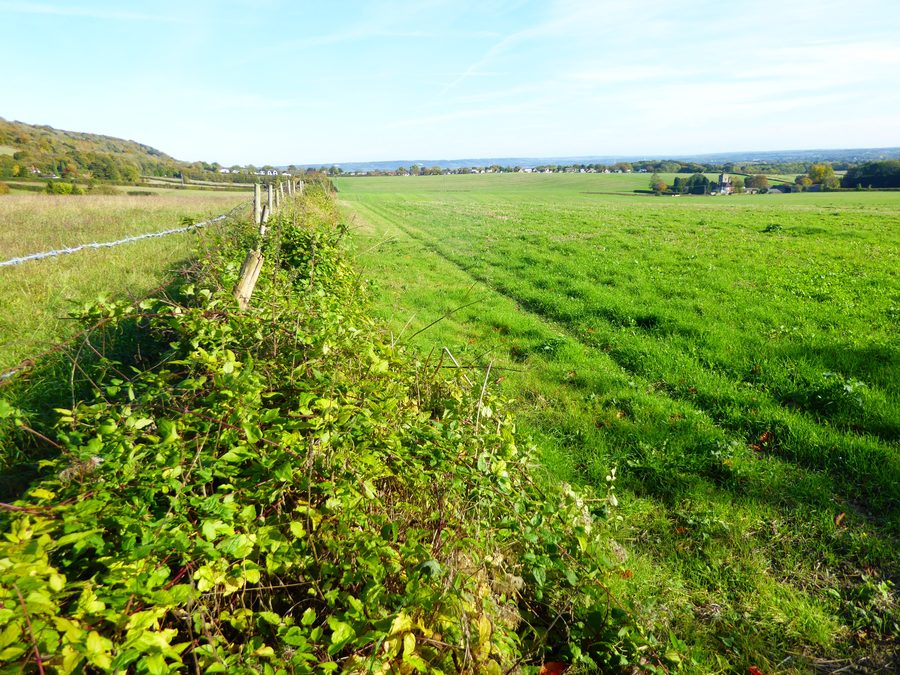 Ландшафт у подножия Норт-Даунс рядом с Trosley Country Park