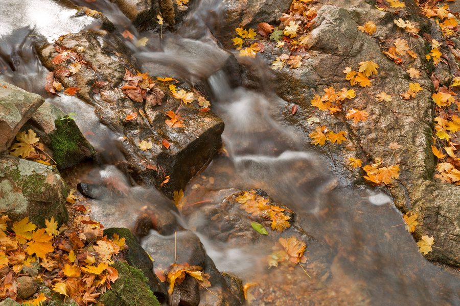 Ручей в государственном парке Patapsco Valley near Балтимор, Мэриленд