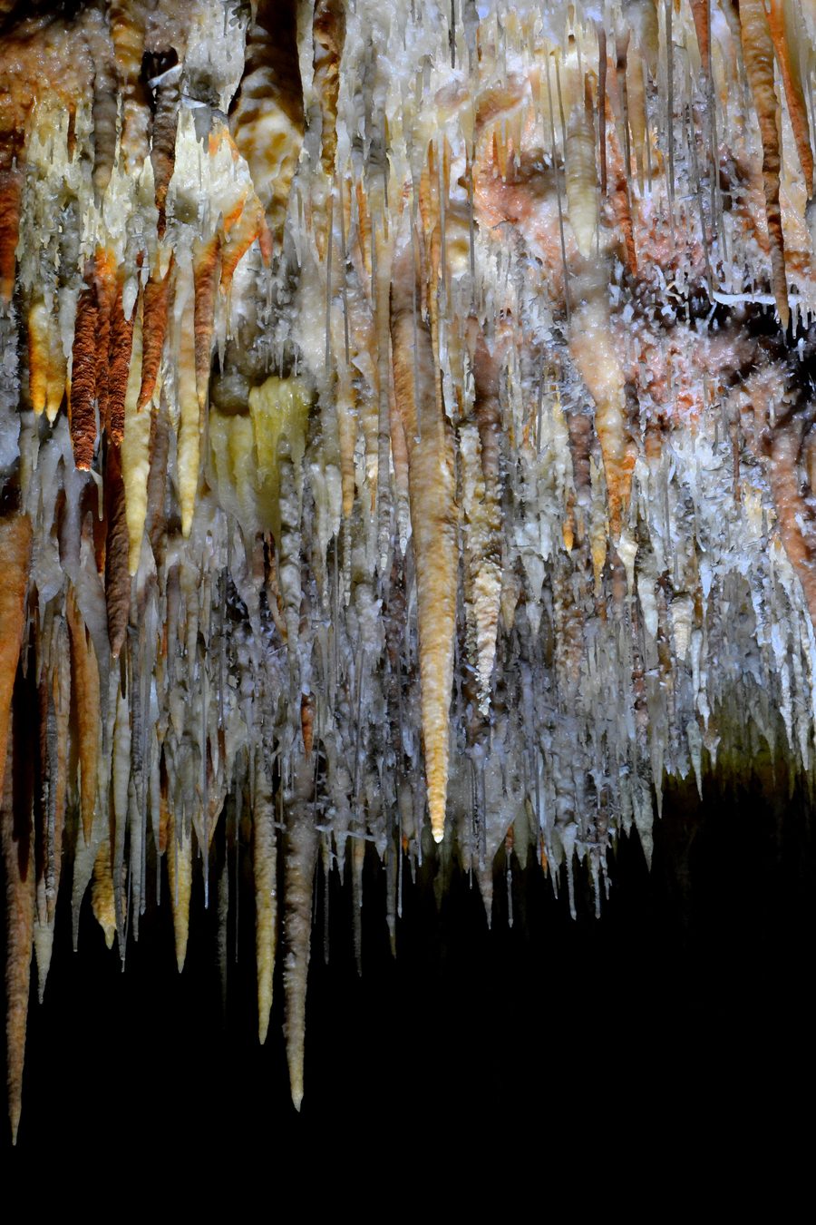 Сталактиты в пещере Jillabenan Cave у Yarrangobilly в национальном парке Kosciuszko
