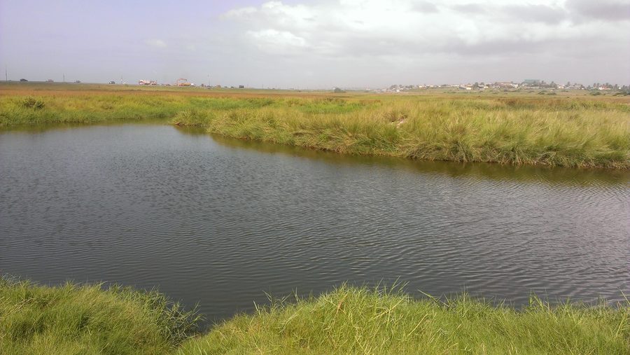 Водно-болотные угодья Sakumono Ramsar Site вдоль Tema Beach Road в Гане