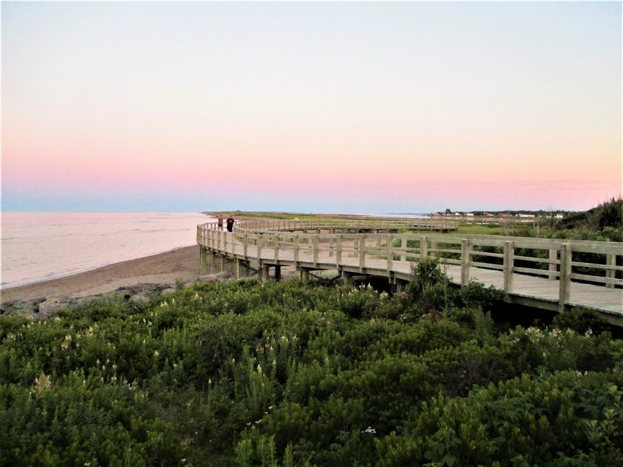 Деревянный настил, проходящий через песчаные дюны в Irving Eco-Centre La Dune de Bouctouche, Нью-Брансуик