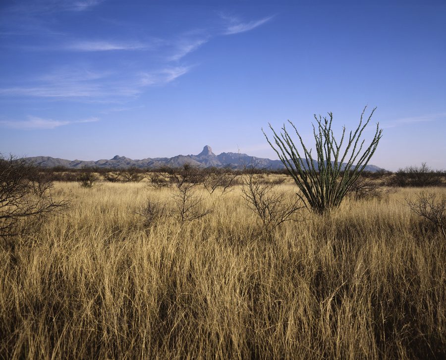 Пейзаж в Buenos Aires National Wildlife Refuge на юге Аризоны