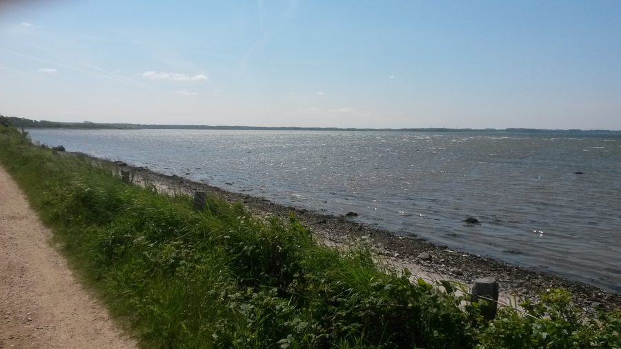 Вид на залив Гельтингер с Балтийским морем, зеленым прибрежным ландшафтом и лугами