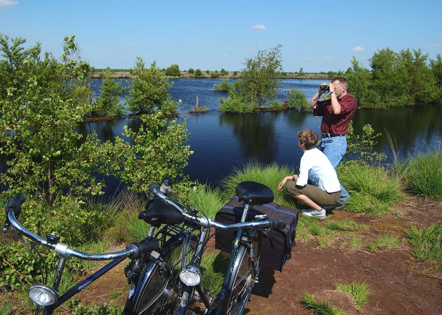 Вид на болота Bourtanger Moor-Bargerveen