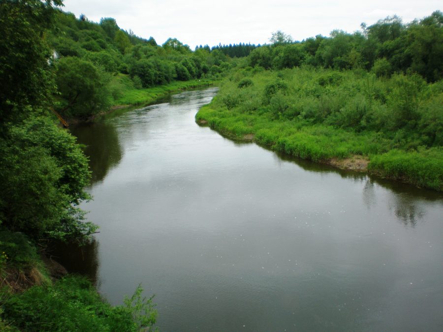 Река Дубиса возле Ариогалы, Литва