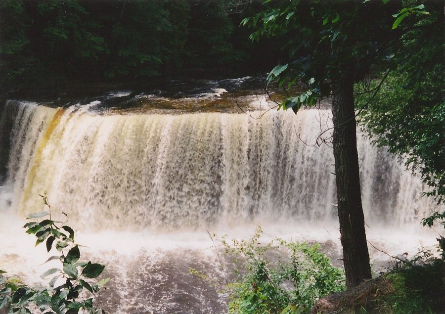 Tahquamenon Falls в лесистой местности Luce County, Michigan