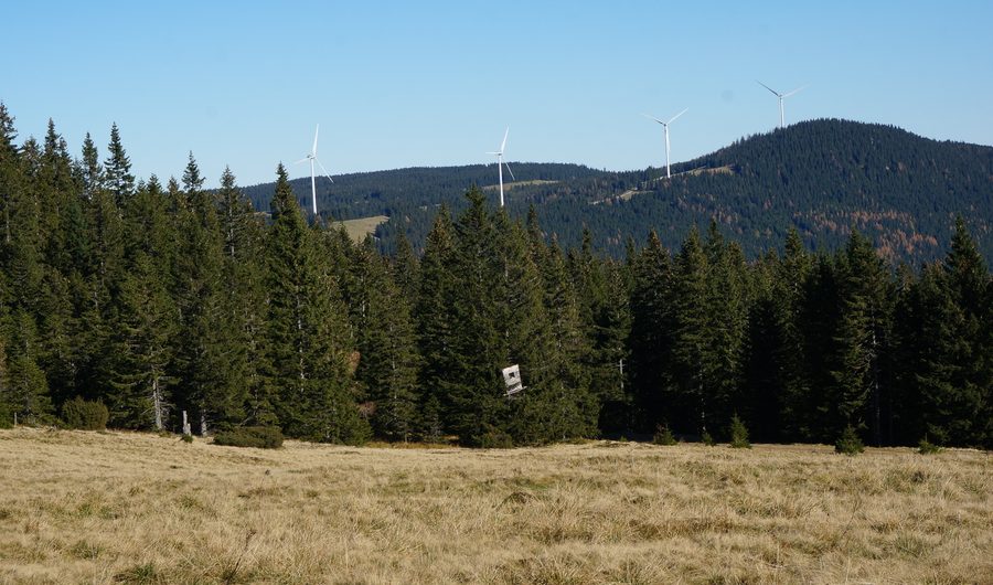 Панорамный вид на ветропарк Freiländer Alm у Stoffhütte в Штирии