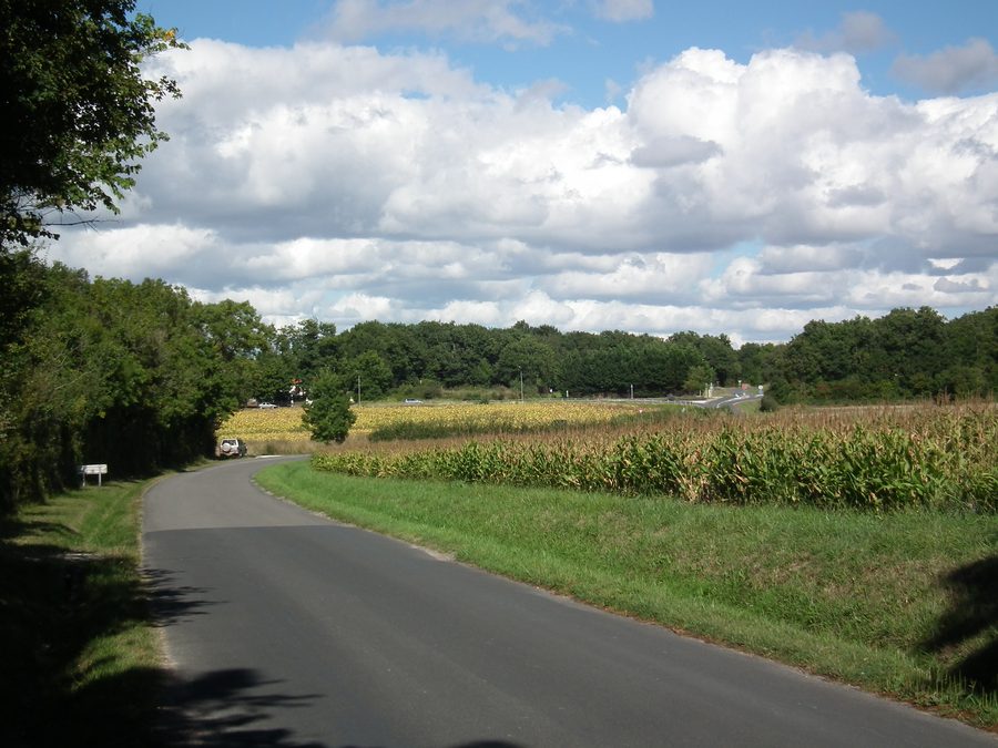 Пейзаж в Breuillet, Charente-Maritime