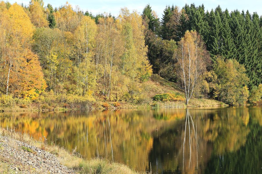 Плотина Айбеншток в Саксонии, окруженная лесистым ландшафтом Рудных гор