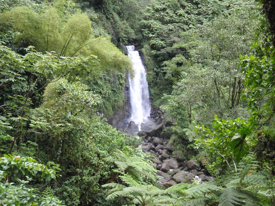 Trafalgar Falls на Доминике
